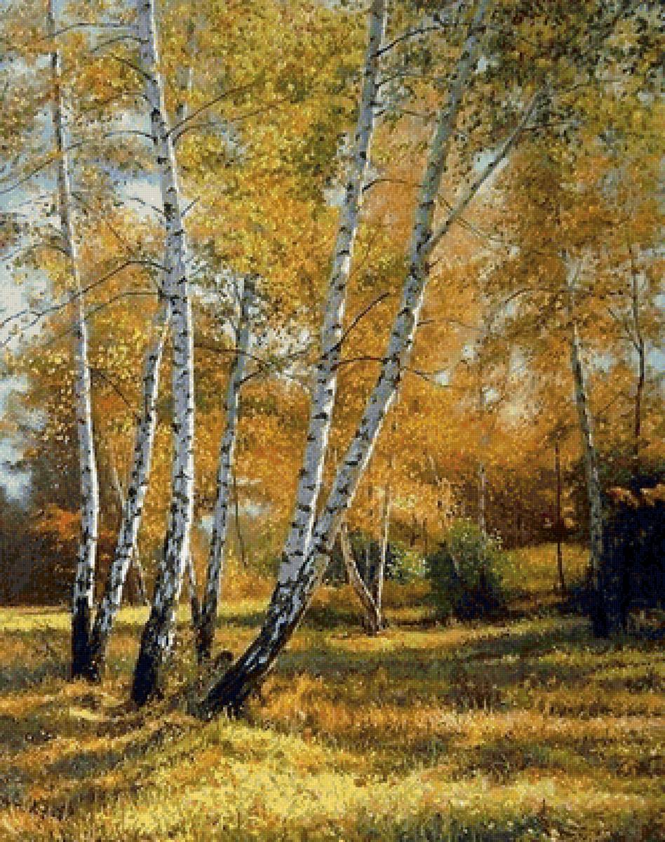 Осень. Березы. - природа, пейзаж, картина, березы, осень, лес - предпросмотр