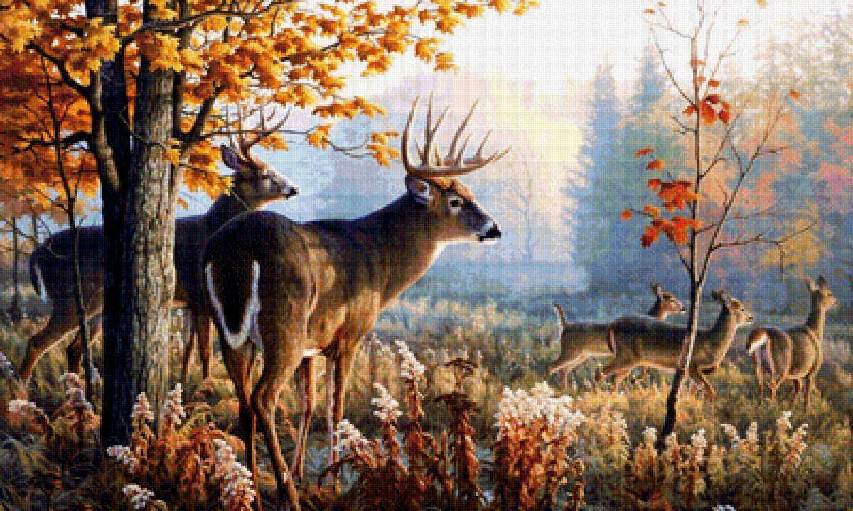 Осень. Олени. - животные, пейзаж, лес, картина, природа, осень - предпросмотр