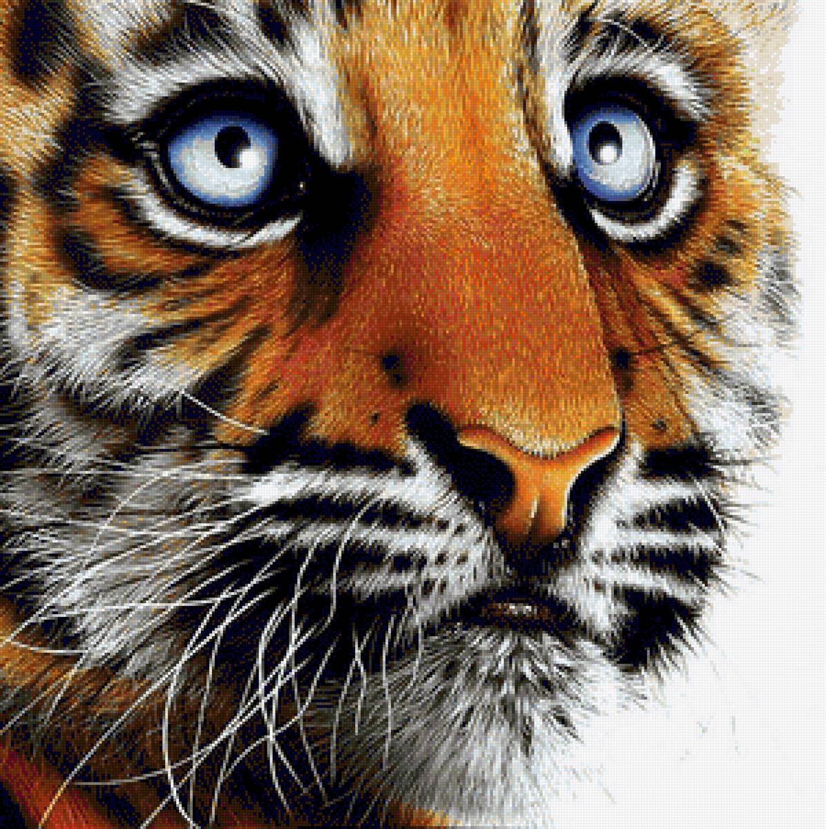 Тигрёнок - дикие кошки, животные, тигр - предпросмотр