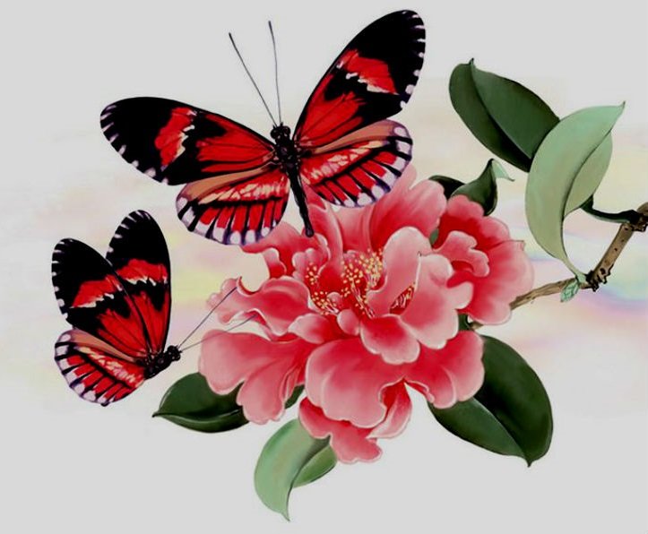 Бабочки на цветке - бабочки, цветы - оригинал