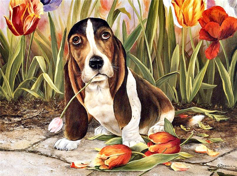 собачка - собака.тюльпан.цветы - оригинал