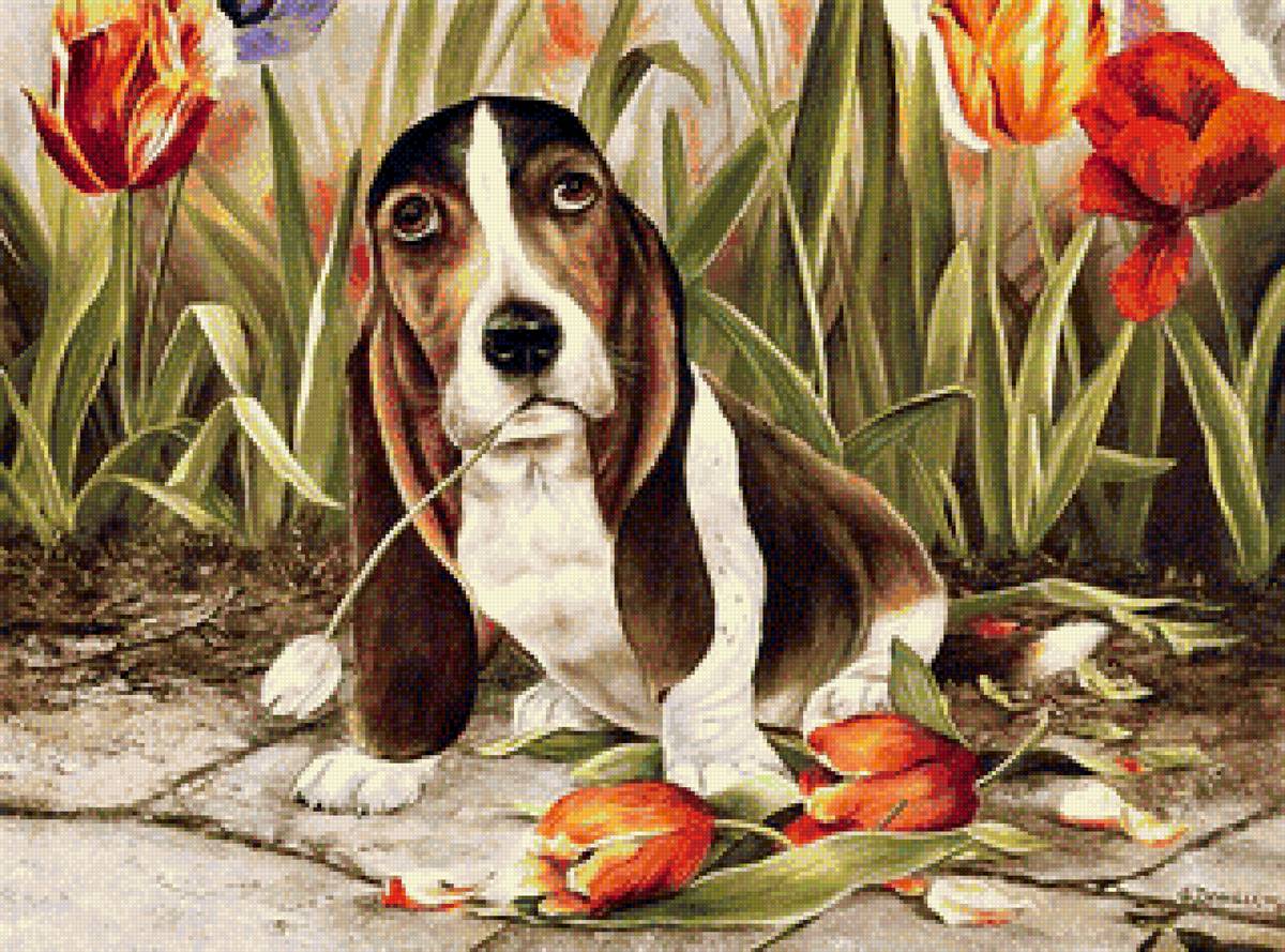 собачка - собака.тюльпан.цветы - предпросмотр