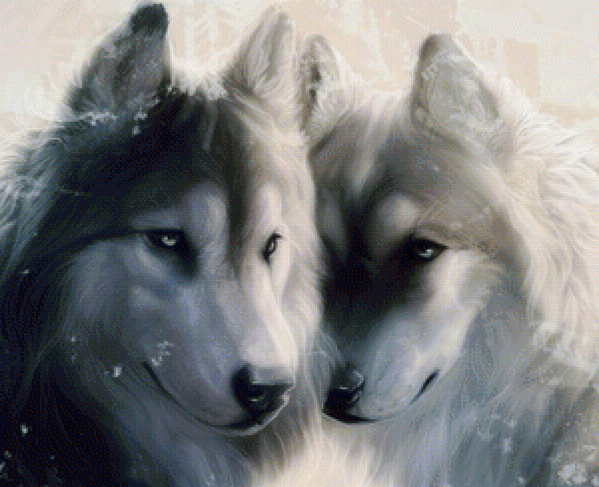 волк и волчица - пара волков, любовь, верность - предпросмотр