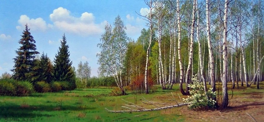Русские берёзы - пейзаж, природа, березы - оригинал