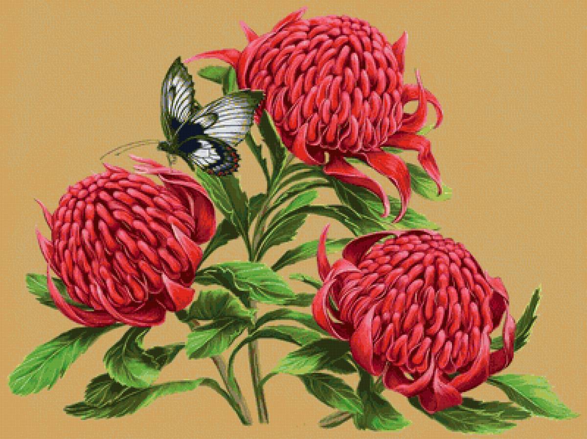 бабочки и цветы - бабочка, розовые цветы, красные цветы - предпросмотр
