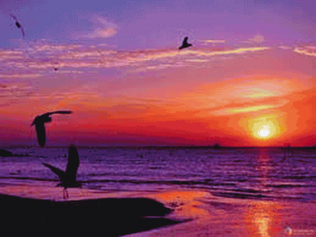 Закат солнца на море - закат, море, солнце, птицы - предпросмотр