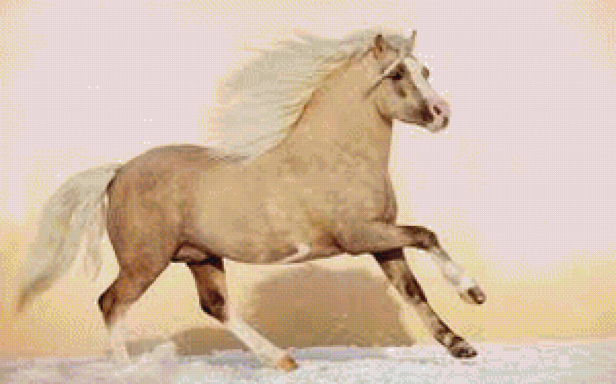 Конь - рысак, конь, лошадь - предпросмотр
