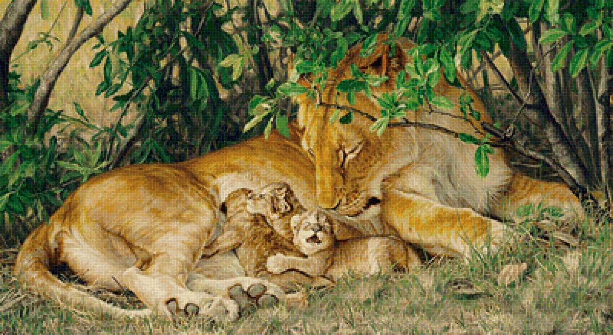 Львица с малышами - хищники - предпросмотр