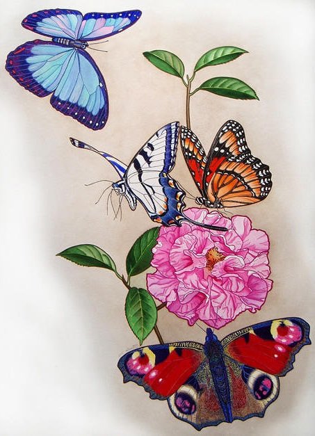 Бабочки на цветке - бабочки, цветы, бабочка - оригинал