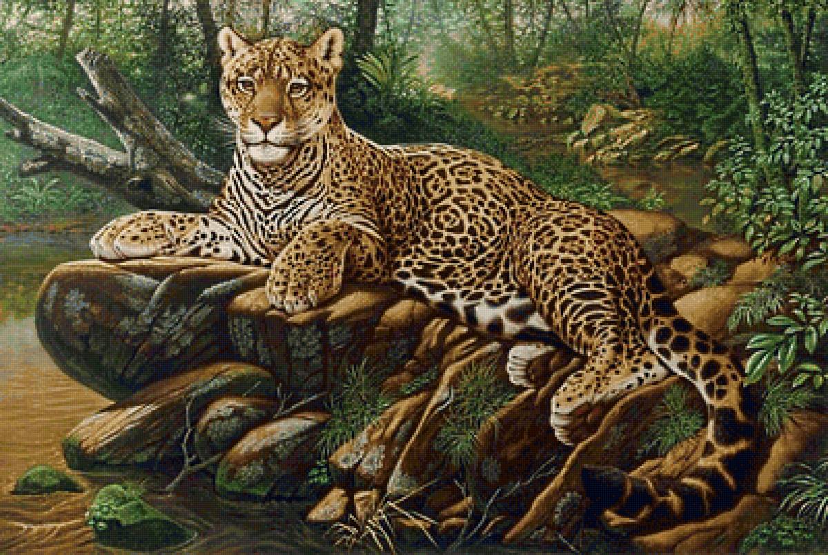 хозяин джунглей - ягуар, хищники, леопард, джунгли - предпросмотр