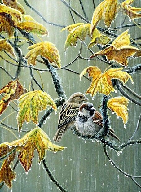 птички-невелички - воробьи, птицы, воробей, дождь, пара, осень - оригинал