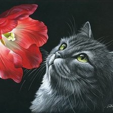 Схема вышивки «красный цветок и кот»