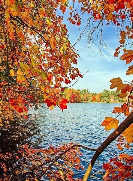 пейзаж - осень, природа, река, пейзаж - оригинал