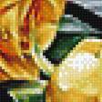 Предпросмотр схемы вышивки «Желтые розы» (№1271111)