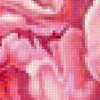 Предпросмотр схемы вышивки «розовое чудо» (№1271497)