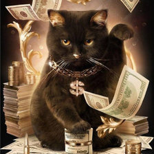 кот и деньги