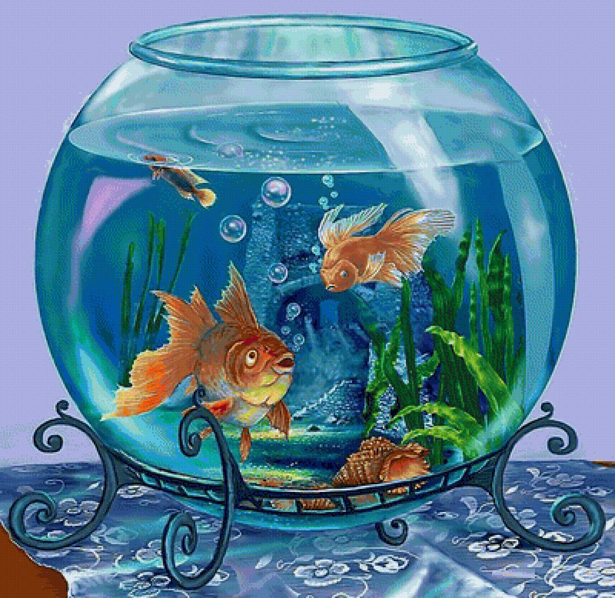 Аквариум - зоолотая рыбка, рыбки - предпросмотр