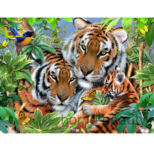 Схема вышивки «тигры семья»