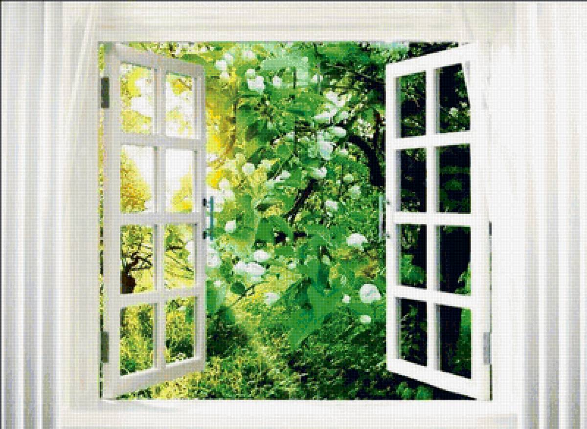 окно в сад - лето, сад, яблони, вид из окна, весна - предпросмотр