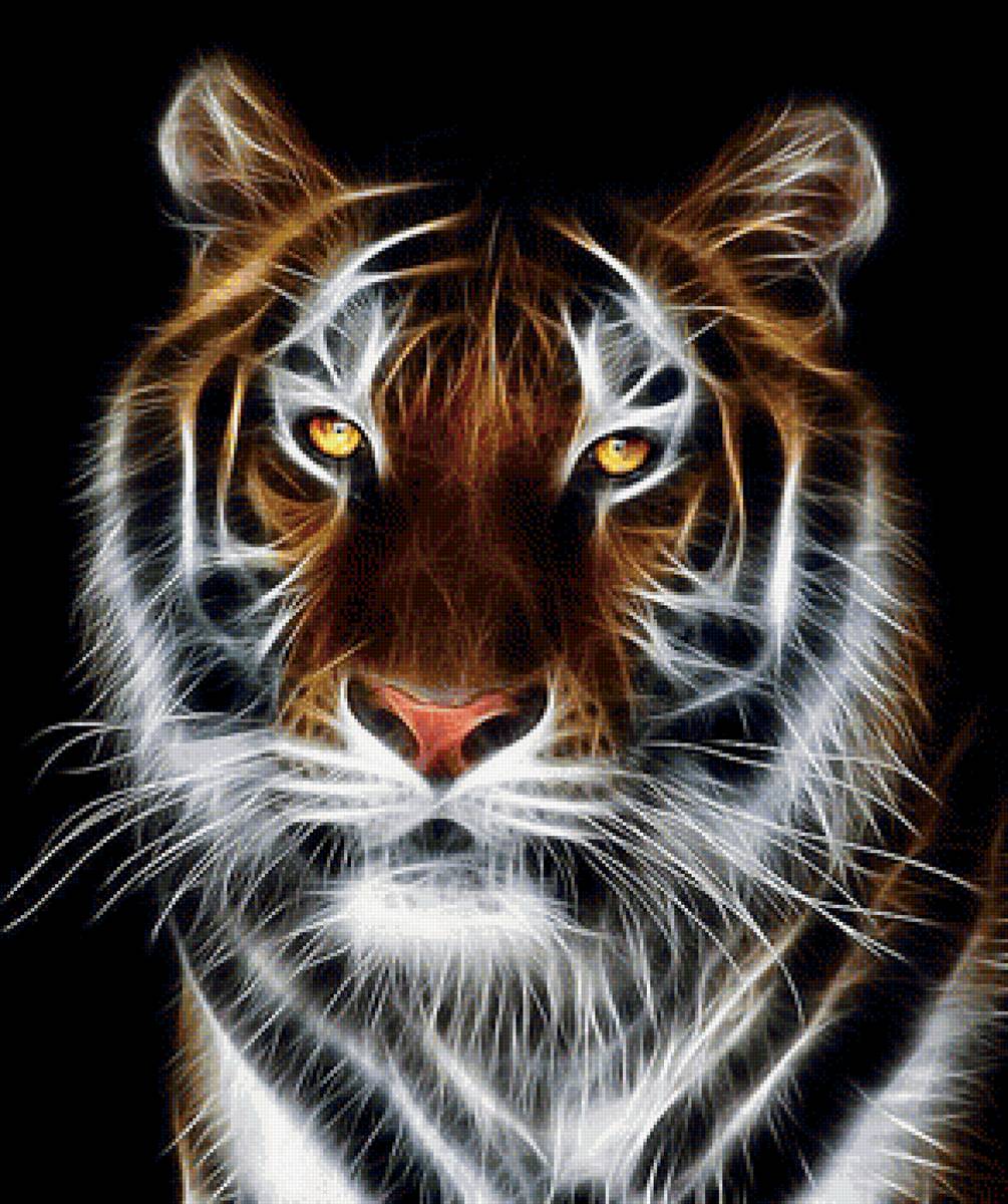 тигр - тигр. животное. хищник - предпросмотр