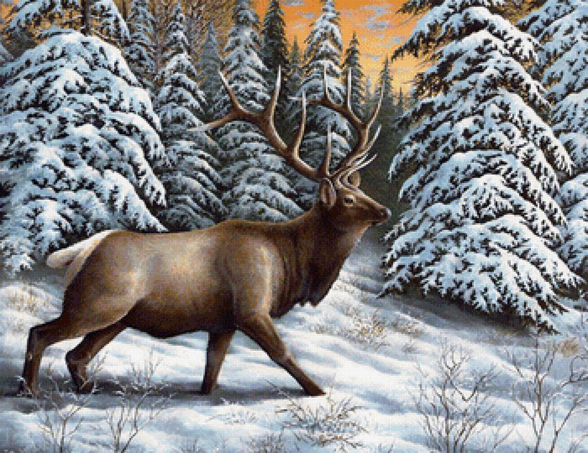 Большой олень - животные, лес, снег, деервья, олень, зима - предпросмотр