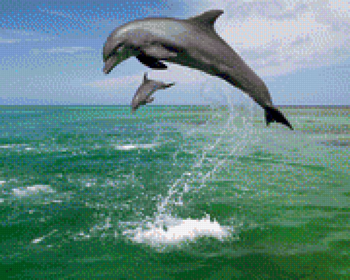 Дельфин - море, дельфин, прыжок - предпросмотр