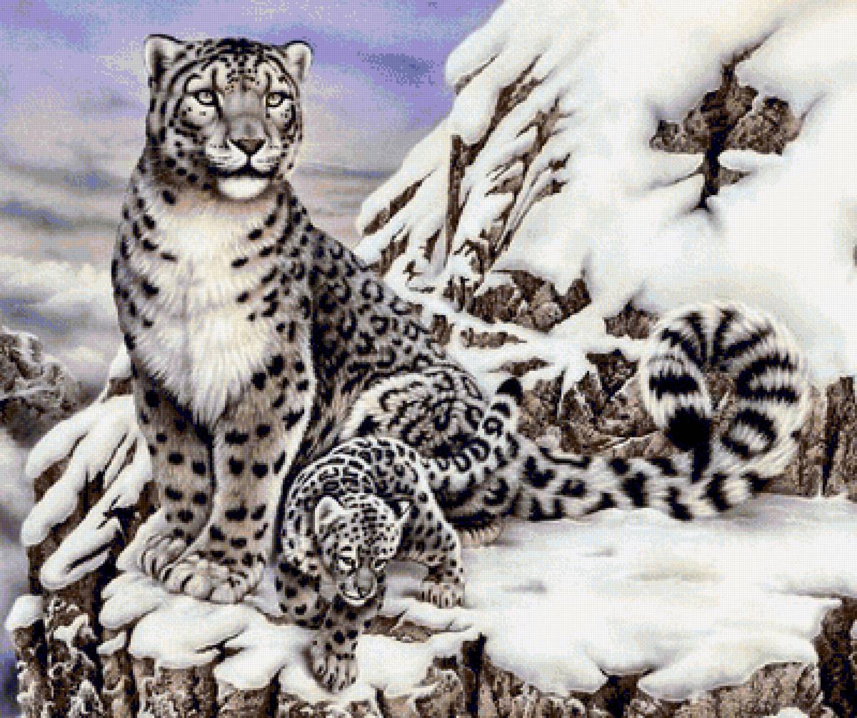 Снежные барсы - животные, барс, леопард, хищник - предпросмотр