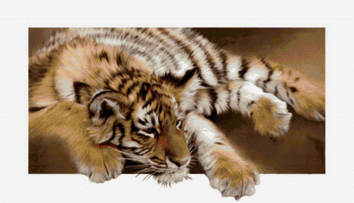 Тигр - тигр, кошка, хищник - предпросмотр
