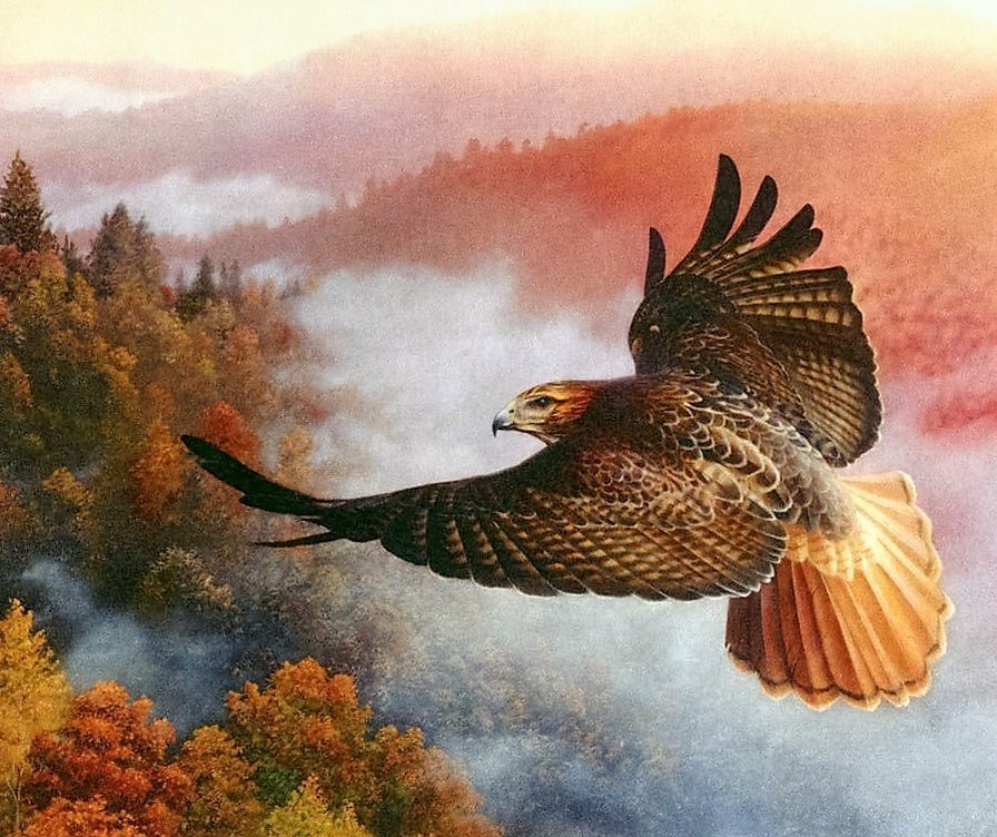 С высоты полета - птицы, пейзаж, горы, осень, природа - оригинал