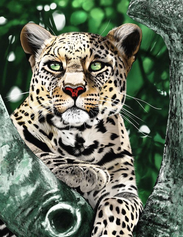 Серия "Фауна" - леопард, хищник - оригинал