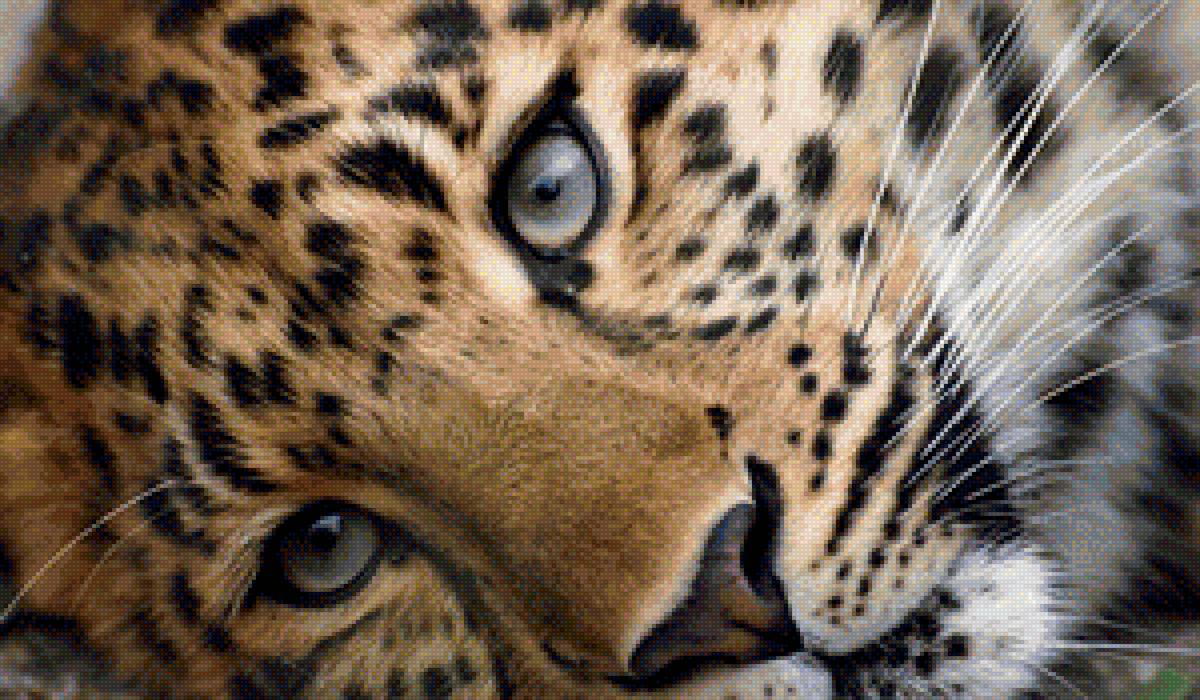 лео - дикие животные, леопард, хищники, кошки - предпросмотр