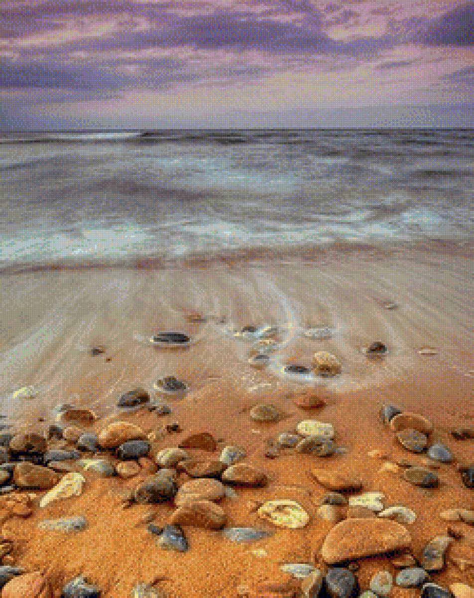 морские ракушки - море, песок, ракушки - предпросмотр