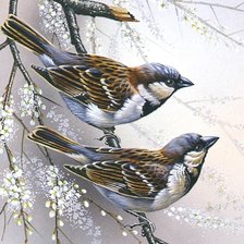 Оригинал схемы вышивки «птички-невелички» (№1277674)