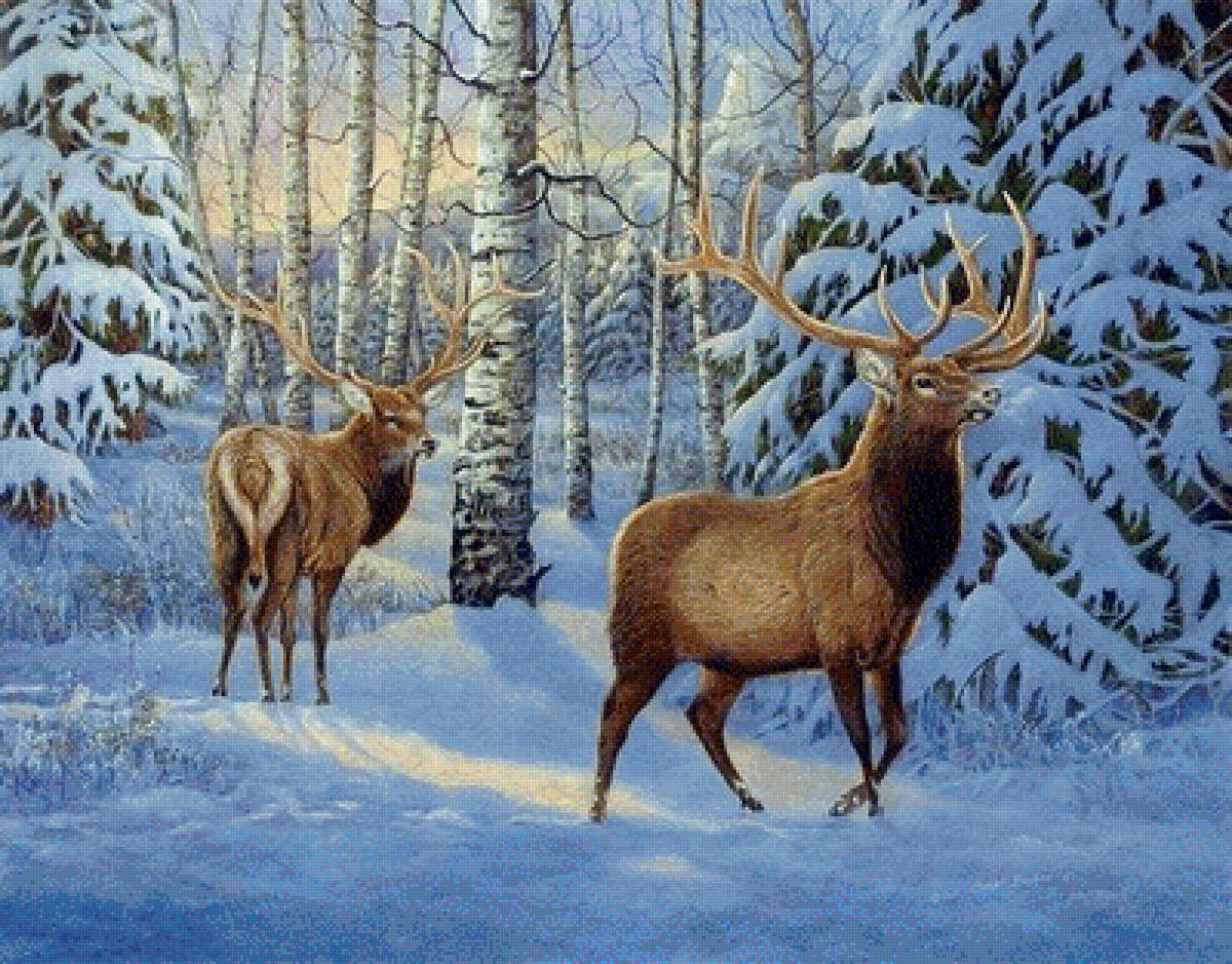 лесная сказка - зима, звери, пейзаж, лес, олени - предпросмотр