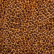 Оригинал схемы вышивки «леопардовая» (№1277856)