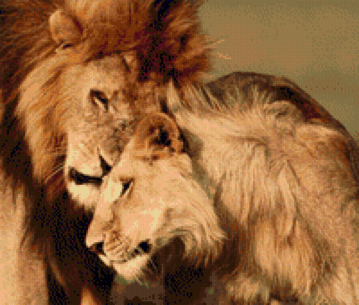 Любовь - любовь, звери, львы - предпросмотр