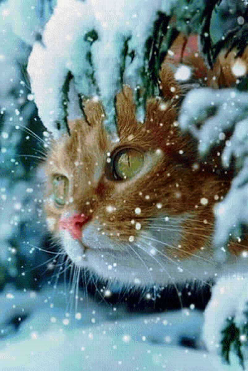 Рыжий кот зимой - животные, зима, кот, снег - предпросмотр