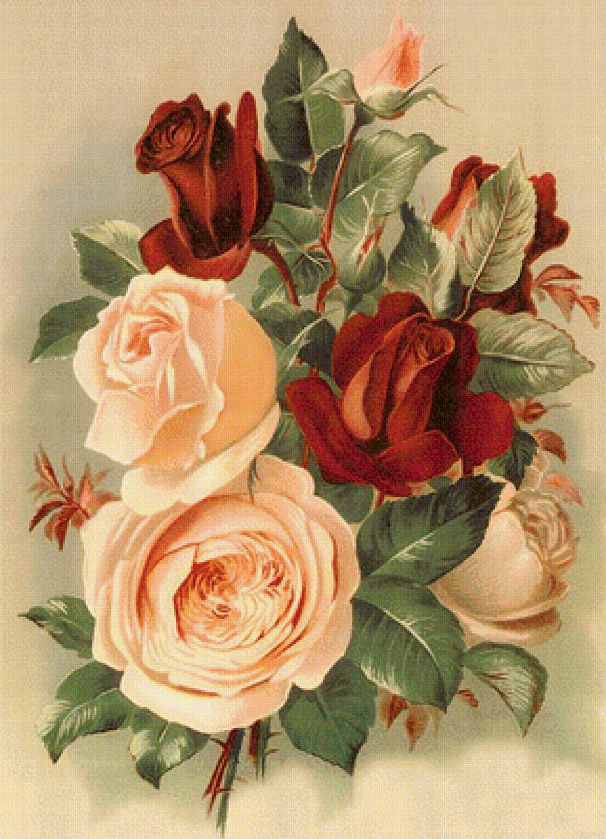 Винтажные розы - цветы - предпросмотр