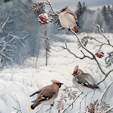 зимние пташки
