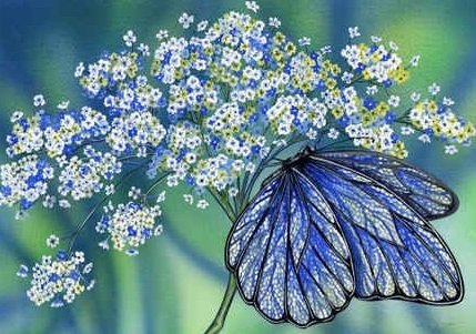 Бабочка на цветке - цветы, бабочка - оригинал