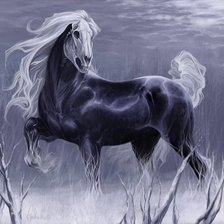 Призрачный конь