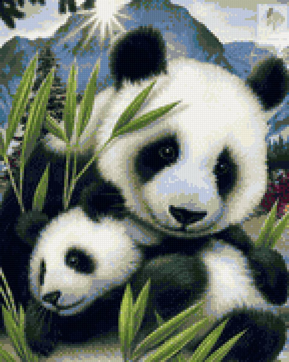 Бриллиантовые панды - животные, панды, природа - предпросмотр