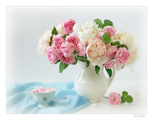 натюрморт с пионами - натюрморт, цветы, ваза, пион - оригинал