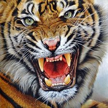тигр - символ величия и мощи