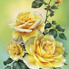 Оригинал схемы вышивки «žlté ruže» (№1286427)