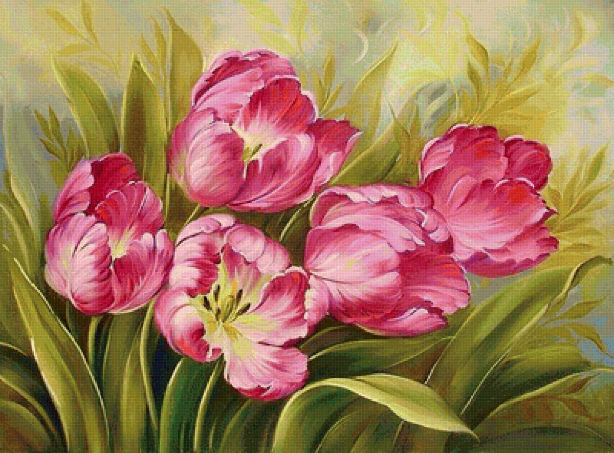 розовое чудо - букет, розовые цветы, тюльпаны, тюльпан - предпросмотр