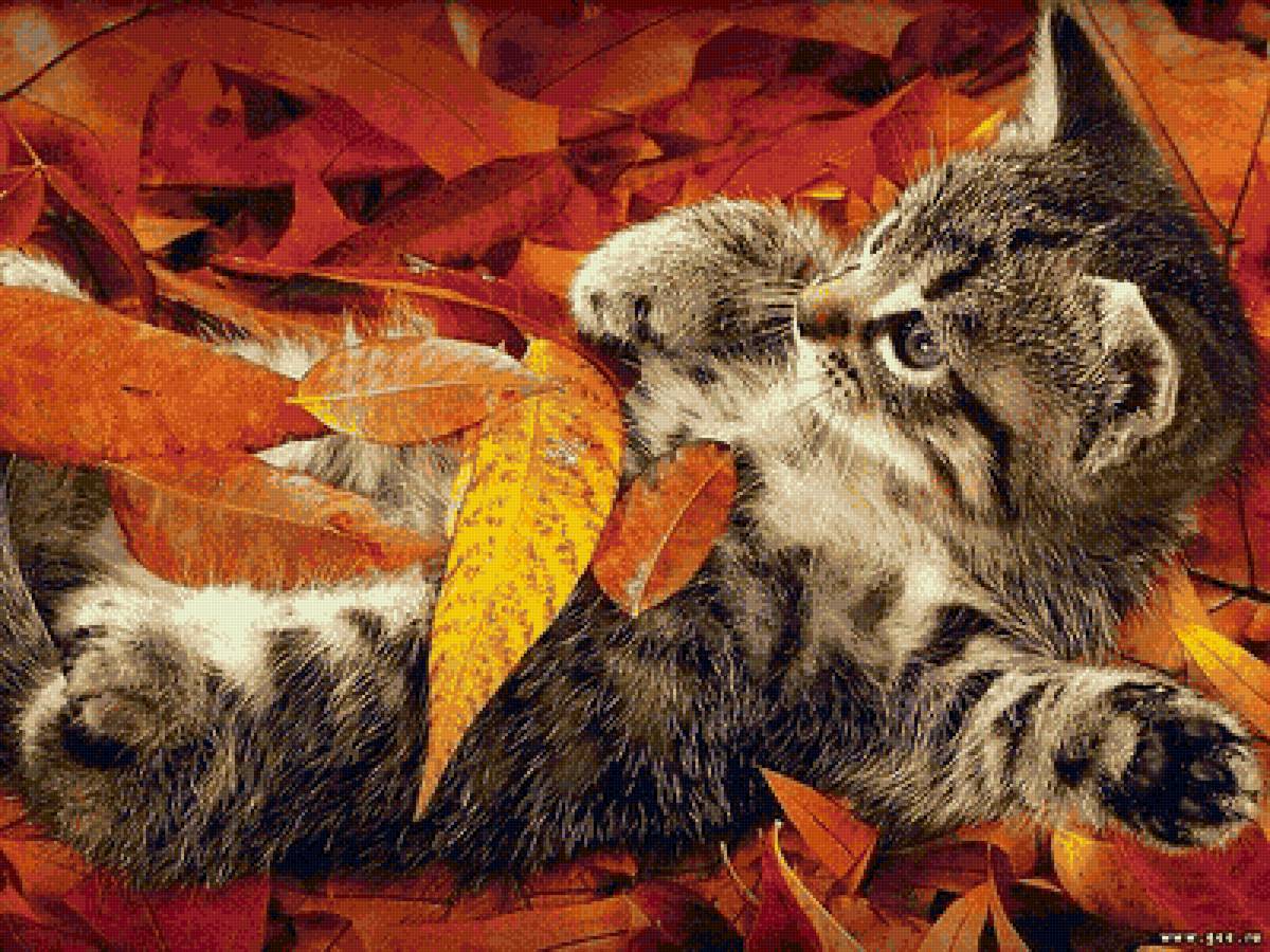 котенок - листья, осень - предпросмотр