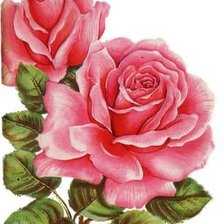 Оригинал схемы вышивки «розы» (№1290246)