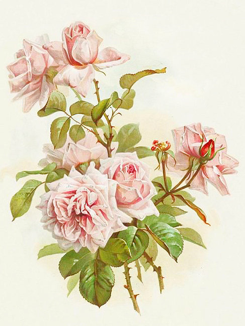 Paul De Longpre - цветы, винтаж - оригинал