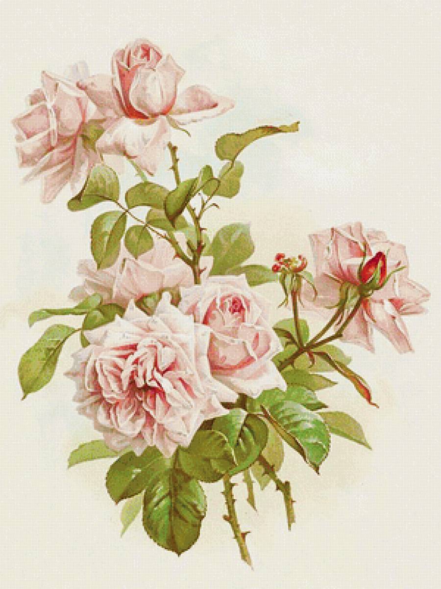 Paul De Longpre - цветы, винтаж - предпросмотр